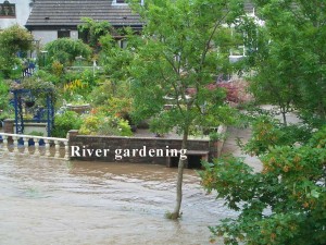 river gardening